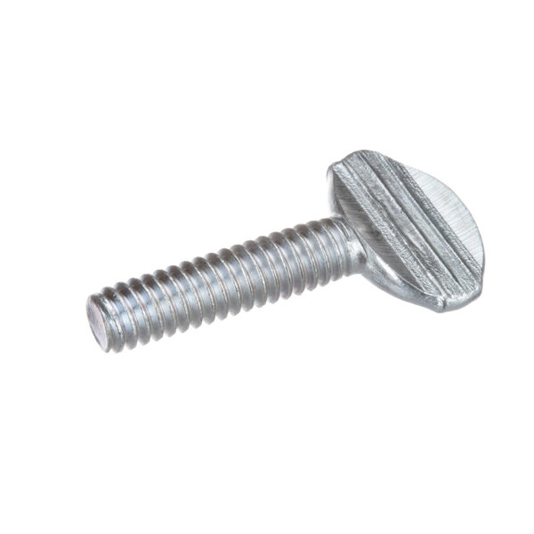 A close-up of a Groen silver screw with a metal head.