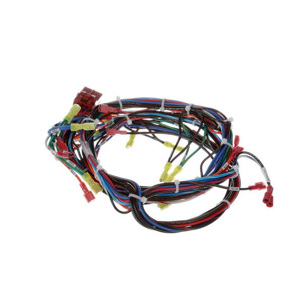 A Groen 141836 control harness with colorful wires.