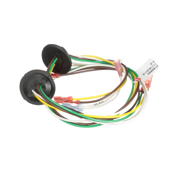 A Delfield 2186885 wiring harness with several colored wires.