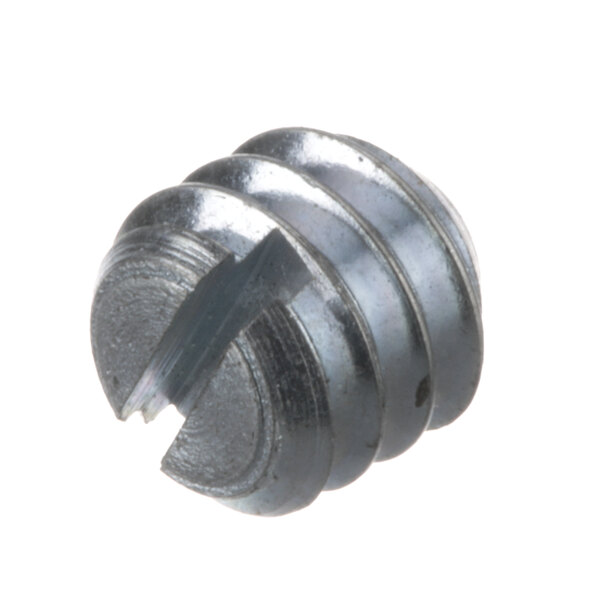 A close-up of a Vollrath set screw with a metal head.