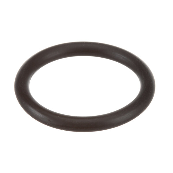 A black Viton o-ring with a white background.