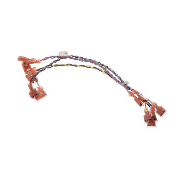 A Blodgett door lock harness with a group of colored wires and connectors.