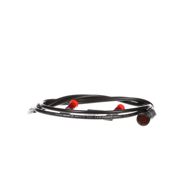 A black wire with red caps.