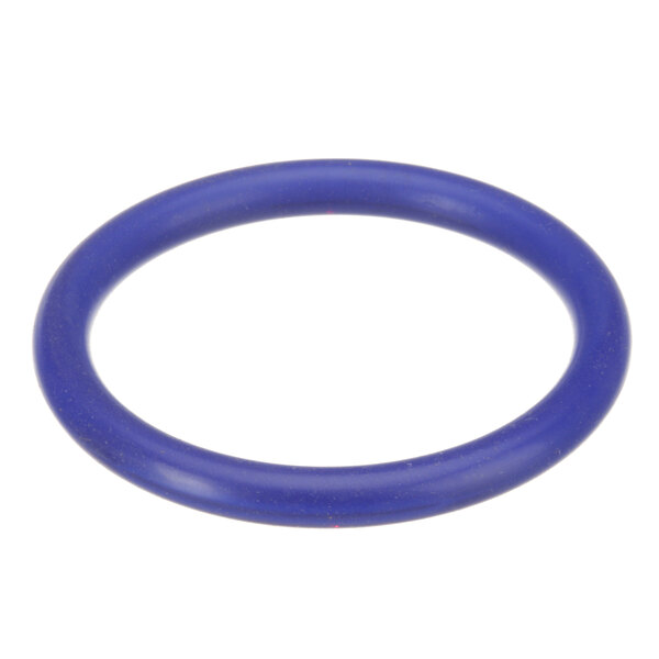 A blue rubber o-ring with a white background.