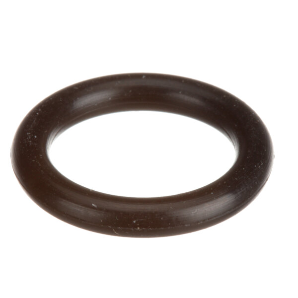 A close-up of a black rubber O-ring.