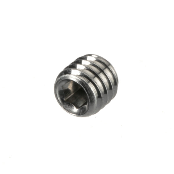 A close-up of a US Range stainless steel socket head screw.