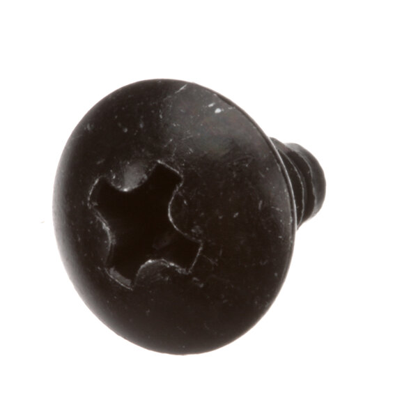 A close-up of a black Hoshizaki tapping screw.