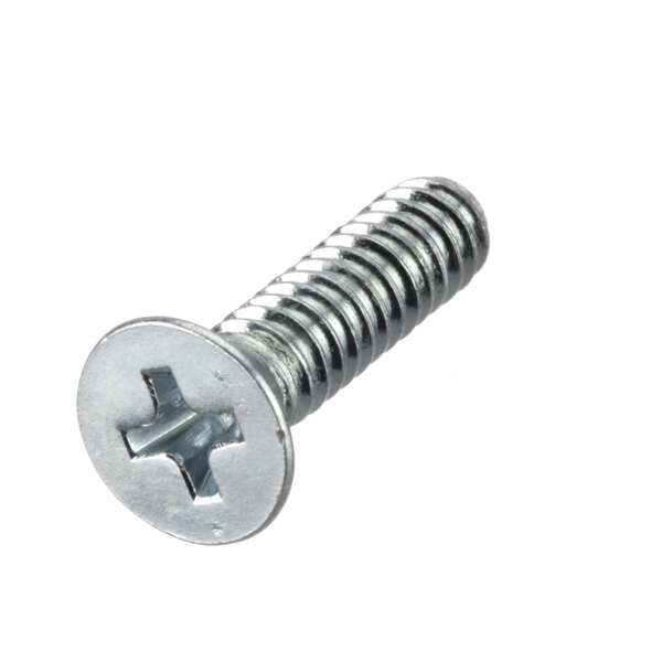 A close-up of a Duke latch screw with a metal cross.