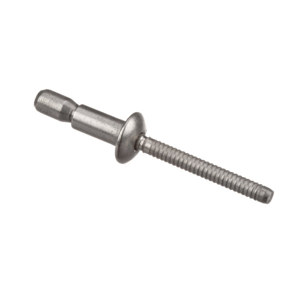 A close-up of a metal screw with a metal head.