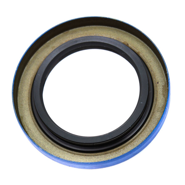 A blue and black rubber seal with a black ring.