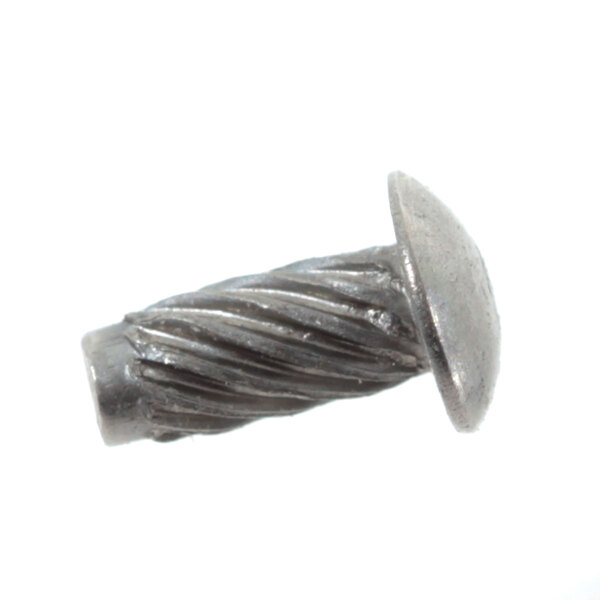 A silver metal screw with a spiral.