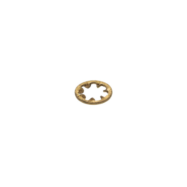 A circular gold lock washer with a star in the middle.