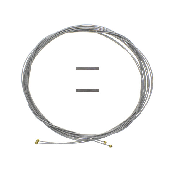 An APW Wyott cable kit with two gold pins on the end.