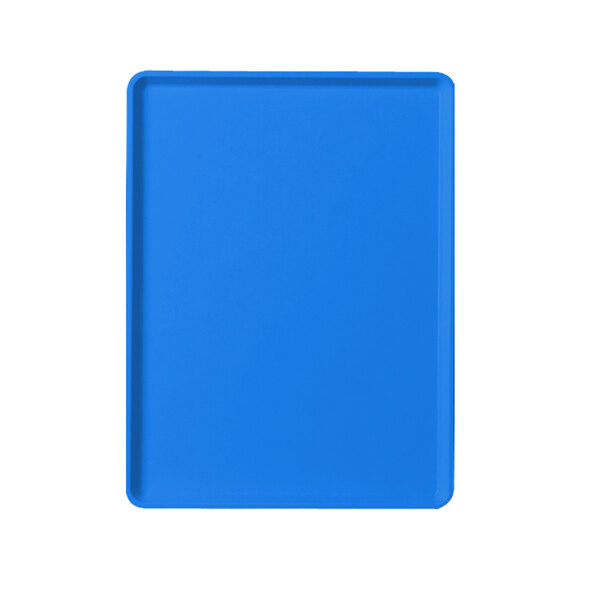 A blue rectangular tray with a white border.