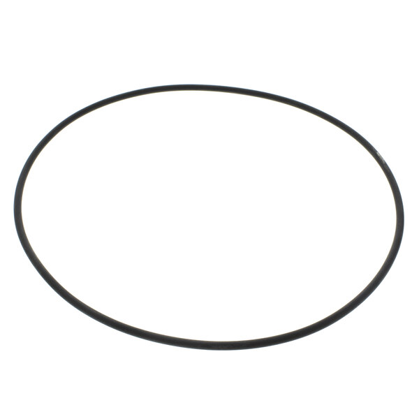 A black round O-Ring on a white background.