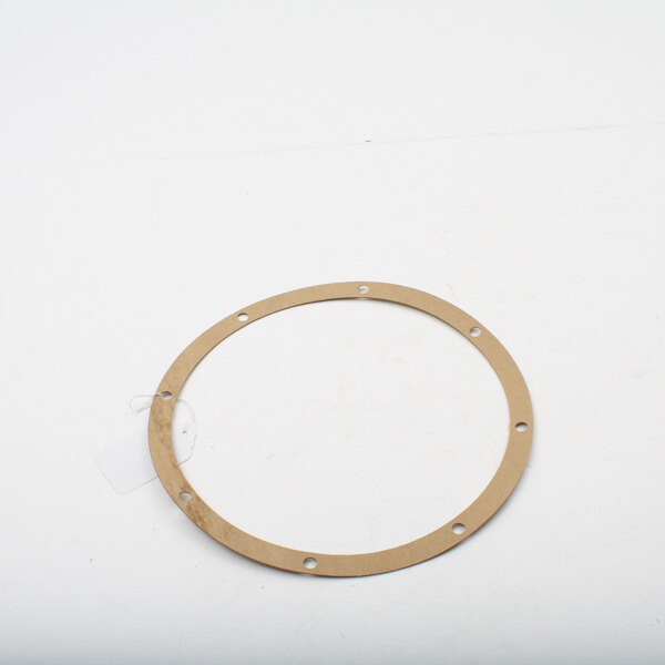 A white circular gasket with holes in it.