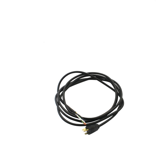 A black cord with a gold plug.