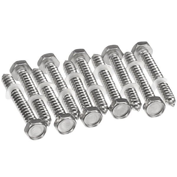 A group of 10 stainless steel Rational hex head self tapping screws.