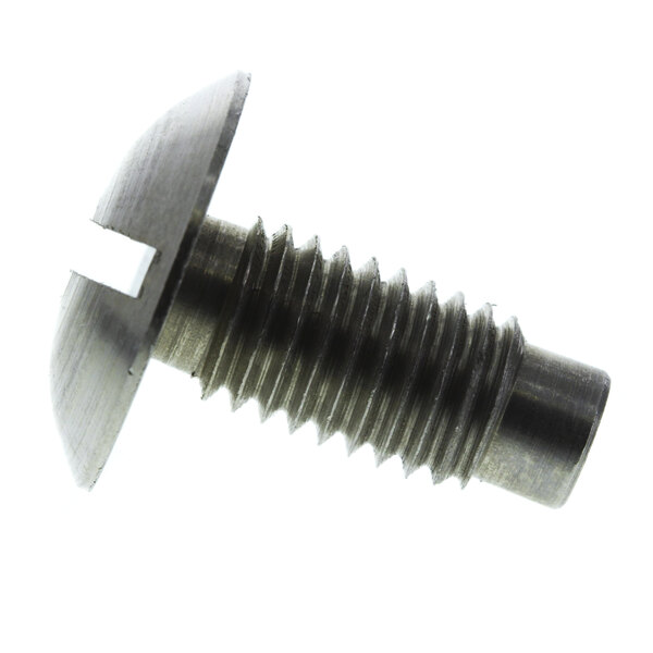 A Robot Coupe screw with a metal head.