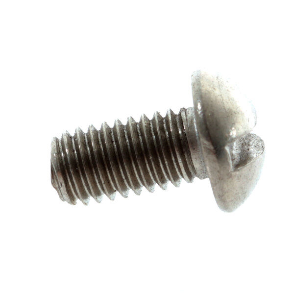 A close-up of a Cleveland screw with a slotted round head.