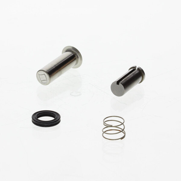 Metal parts including a spring and a ring for a Cleveland water solenoid valve.