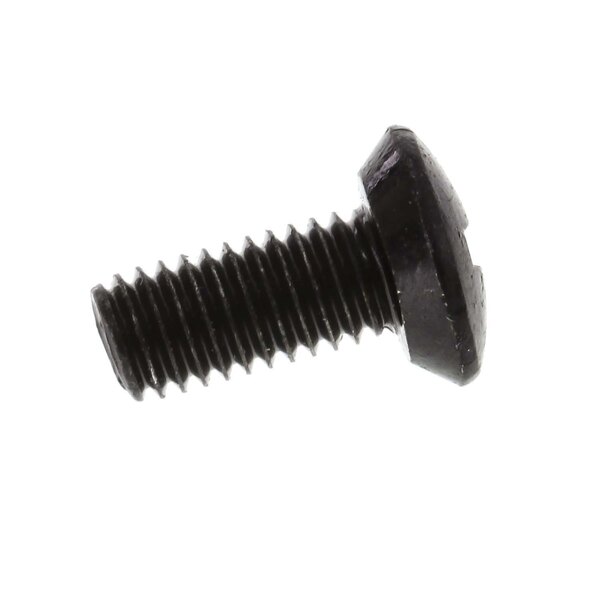 A black screw with a round head.
