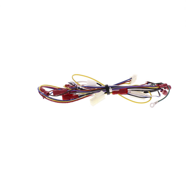 A Globe wire harness with multiple colorful wires.