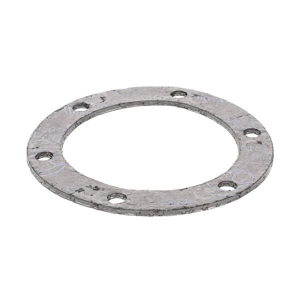 A round metal gasket with holes.