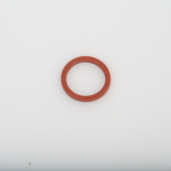 A red rubber o-ring on a white surface.