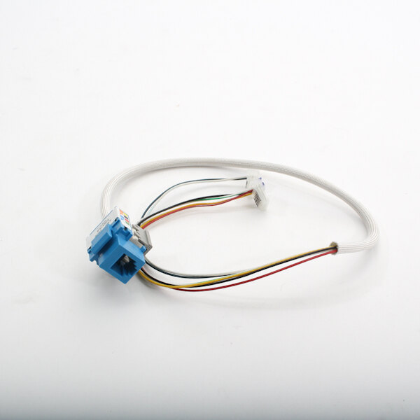 A white electrical wire with a blue Prince Castle connector and white wires.