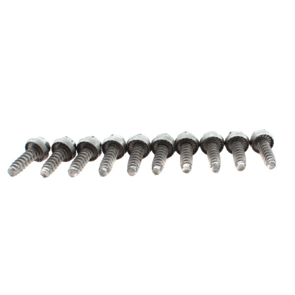 A row of Ice-O-Matic screws on a white background.
