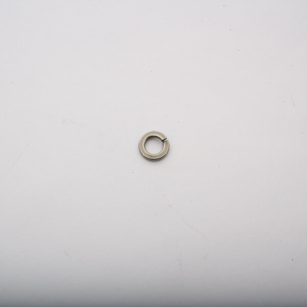 A Globe lock washer, a small silver metal ring on a white surface.