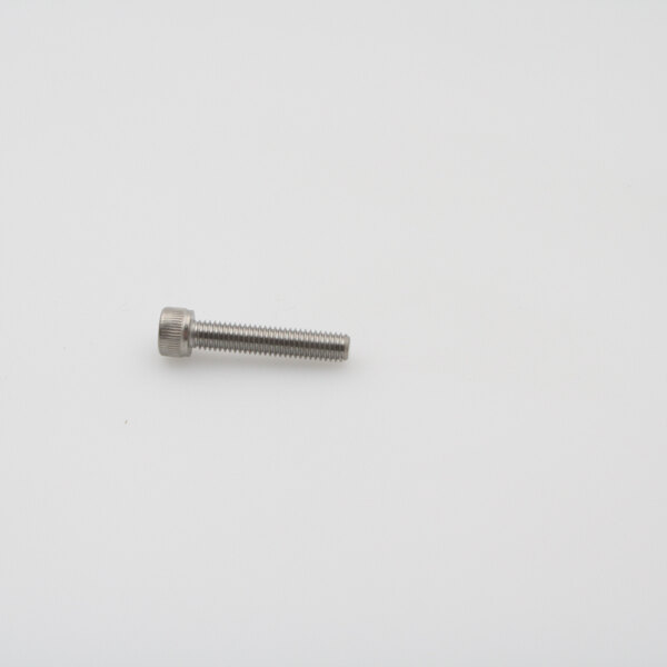 A close up of a Salvajor screw.