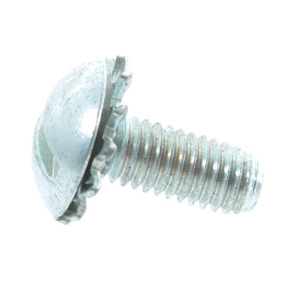 A close-up of a Frymaster screw with a round metal head.