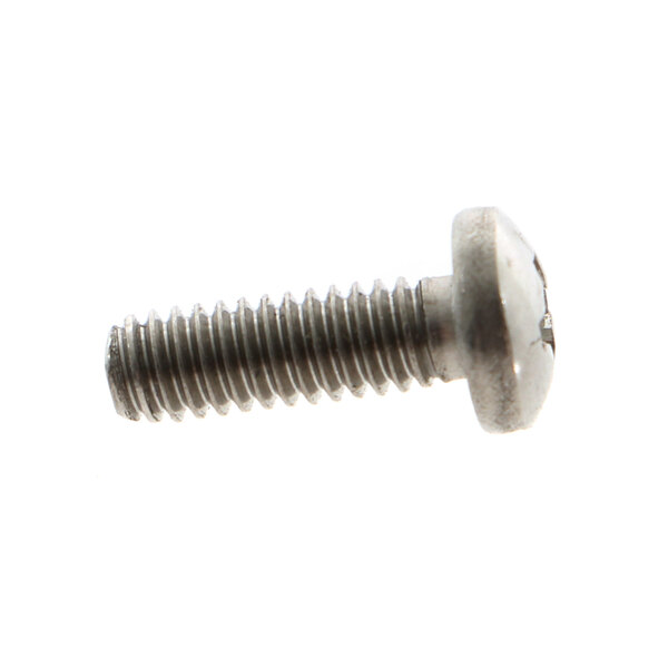 A close-up of an APW Wyott stainless steel screw.
