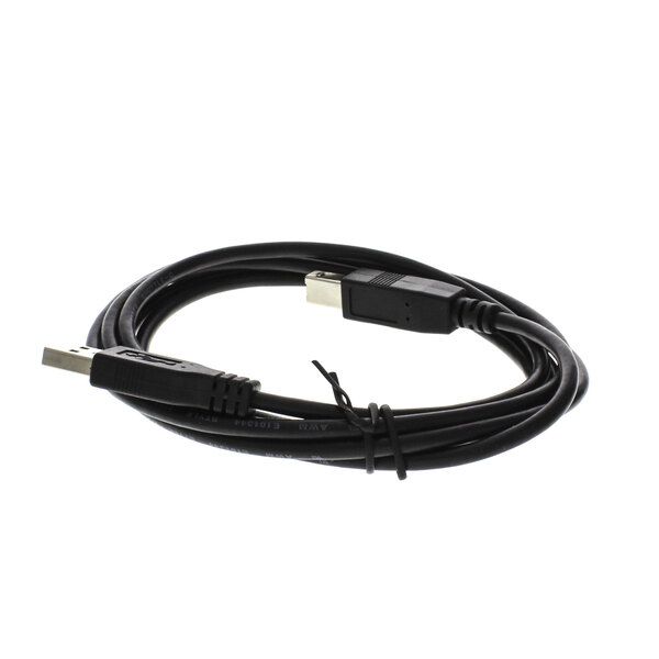 An Alto-Shaam black USB cable with a plug.