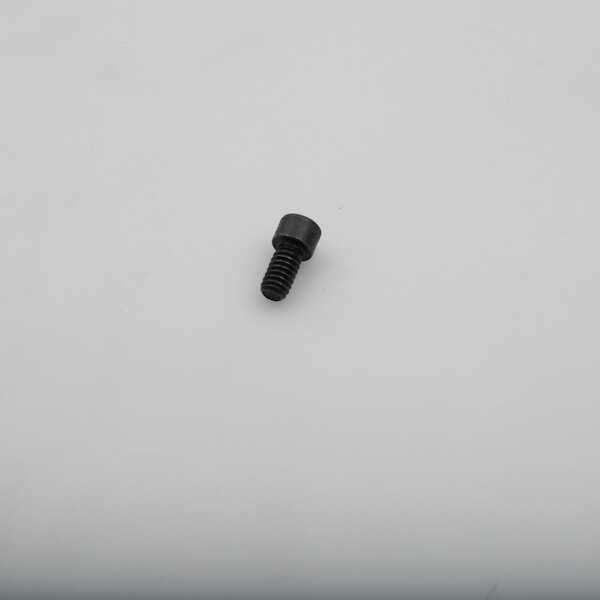 A black screw with a black head on a white surface.
