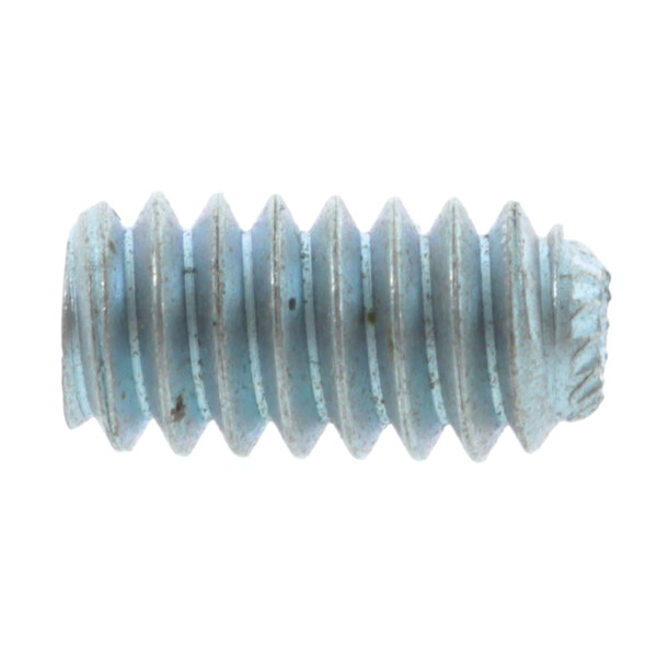 A close-up of a blue Berkel screw.