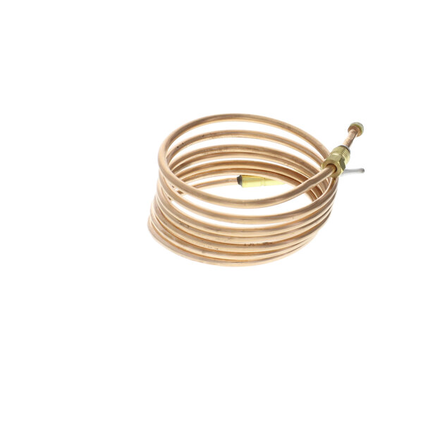 An Electrolux Professional Thermocouple with a coiled copper tube.