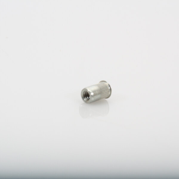 A close-up of a silver metal Duke insert screw on a white surface.