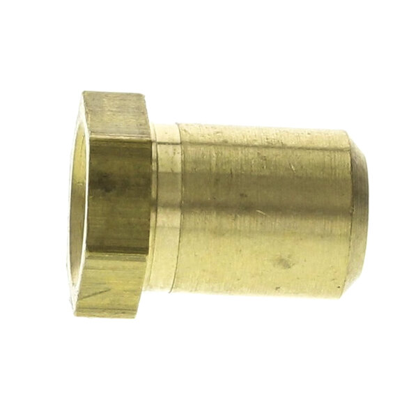 A close-up of a brass threaded pipe fitting.