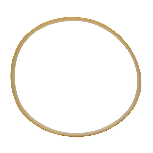 A circular object with a white background, the Globe 55 drive belt.