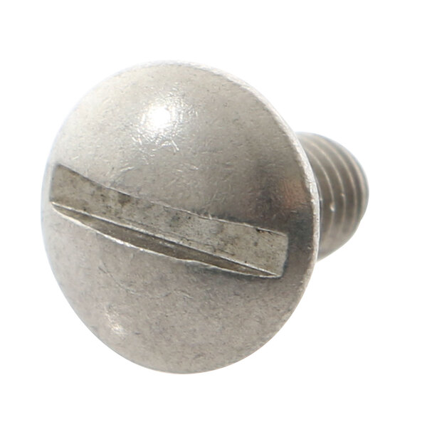 A close-up of a Groen screw with a metal head.