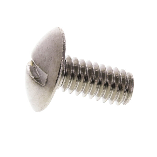 A close-up of a Berkel Screw Truss Head screw.