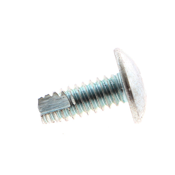 A close-up of a Traulsen screw with a metal head.