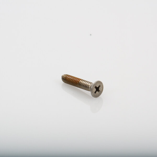 A close-up of a Duke hinge screw on a white background.
