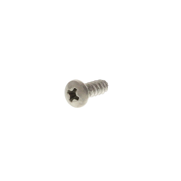 A close-up of a Bunn 24544.0000 screw.