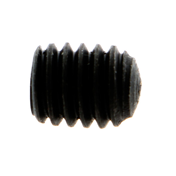A close-up of a Crown Steam set screw with an Allen hex drive and a cup point with a black head.