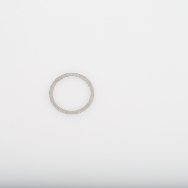 A Wells 2I-Z12311 element washer, a small circular silver ring on a white surface.