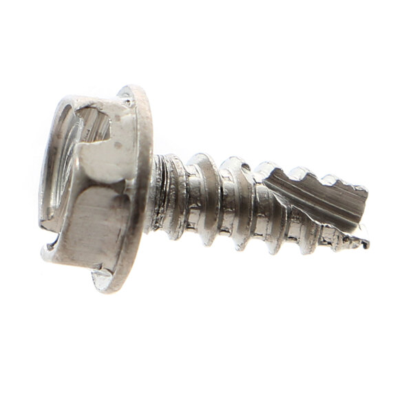 A close-up of a Bunn hex screw with a metal head.